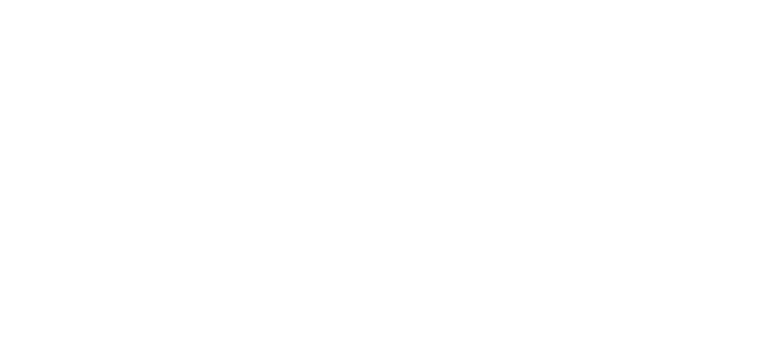 TO THE FUTURE ORIGINALITY AND INGENUITY